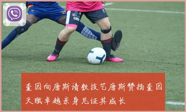 奎因向唐斯请教技艺唐斯赞扬奎因天赋卓越亲身见证其成长